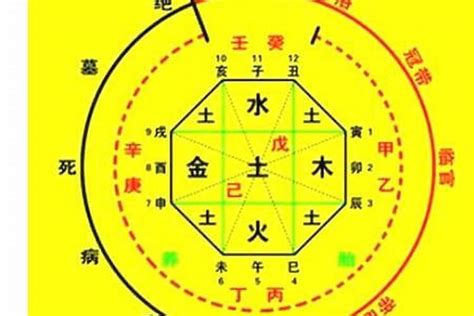 喜用神为金|八字喜用神是什么 八字喜用神如何确定